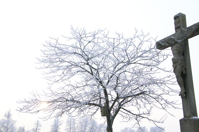 Foto: Franz-Walter Mappes