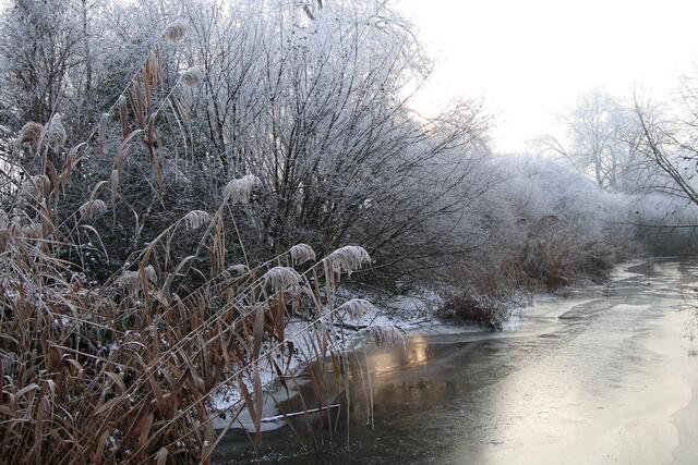 Eisige Landschaft | Foto: Franz-Walter Mappes