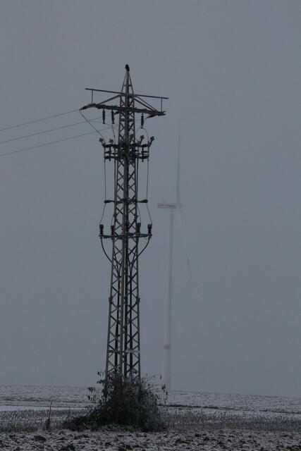 Zwei Generationen | Foto: Franz-Walter Mappes