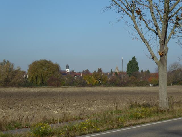 Ausblick auf die Kirchtürme von Rheingönheim