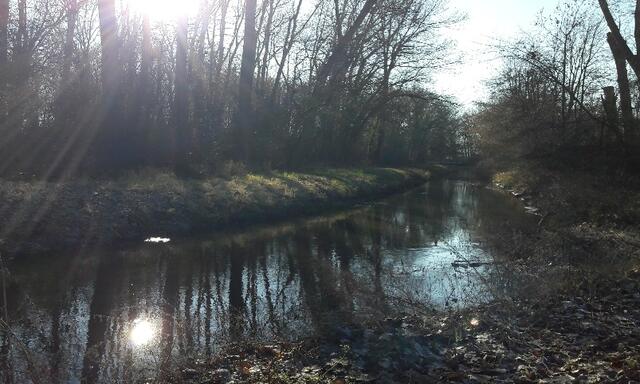 Rehbach
