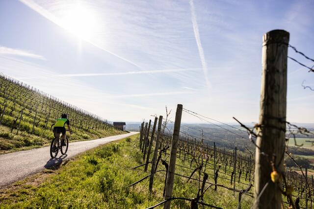 Gravelbiking bedeutet Freiheit, Abenteuer und ein ganz besonderes Lebensgefühl. | Foto: Martin Donat/ lifecyclemag.de