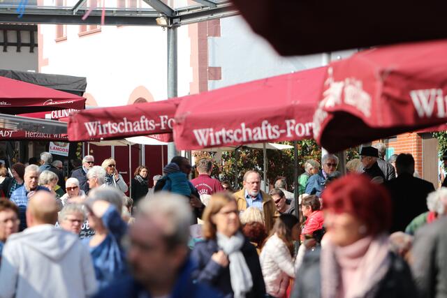 Foto: Stadtverwaltung Grünstadt