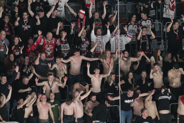 Die Fans von den Kölner Haien jubelten nach dem 2:1-Auswärtssieg (Foto Michael Sonnick)