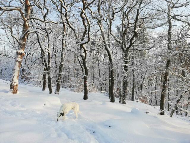 Foto: Elke Schlimbach 