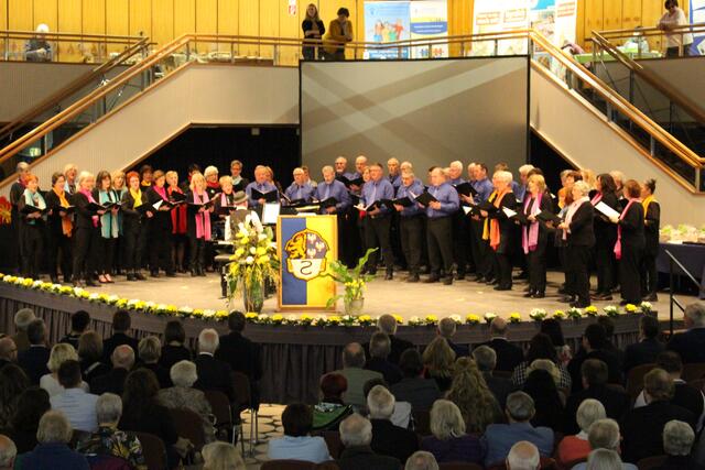 Foto: markus Pacher