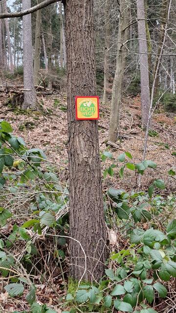 Infotafeln weisen immer wieder den richtigen Weg | Foto: Ralf Vester