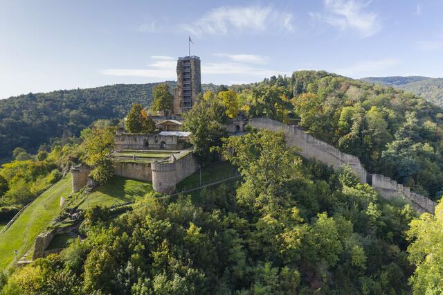 Die Wachtenburg in Wachenheim an der Weinstraße | Foto: Simon Stobbe
