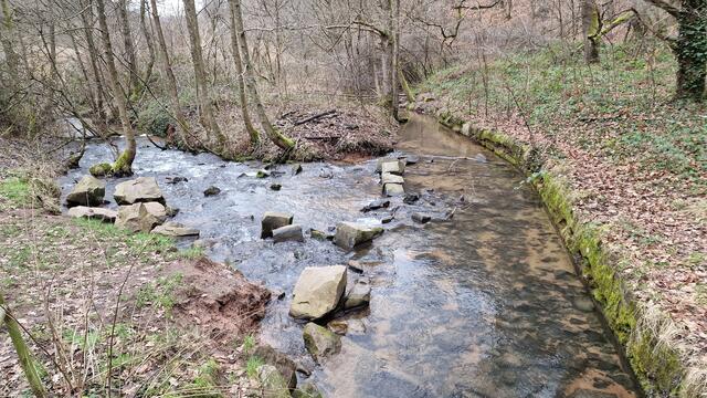 Blick vom kleinen Brücklein auf den leise rauschenden Eselsbach | Foto: Ralf Vester