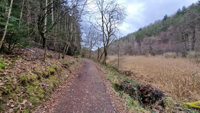 Der neue "Leichte Weg" ist breit und eben und somit auch für ältere und gesundheitlich eingeschränkte Menschen problemlos zu bewältigen | Foto: Ralf Vester