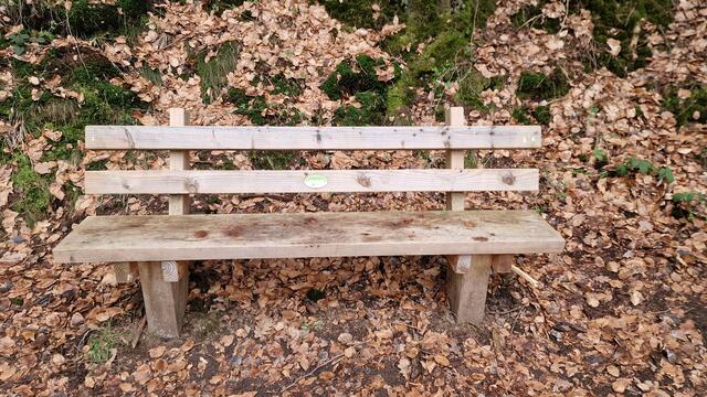 Drei neue Ruhebänke säumen den Weg | Foto: Ralf Vester