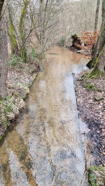 Der Eselsbach, der dem idyllischen Tal seinen Namen gibt | Foto: Ralf Vester