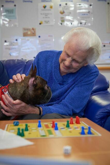 Wer Lust hat, sich gemeinsam mit dem eigenen Hund für andere zu engagieren, kann sich am 23. Februar über den neuen Malteser Hundebesuchsdienst informieren | Foto: Malteser/gratis