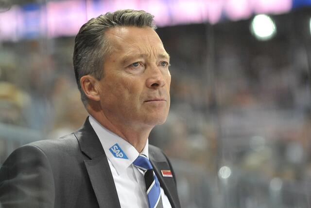Analytischer Blick: Harold Kreis.  | Foto: PIX-Sportfotos