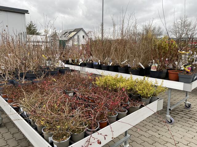 Foto: Claudia Bardon