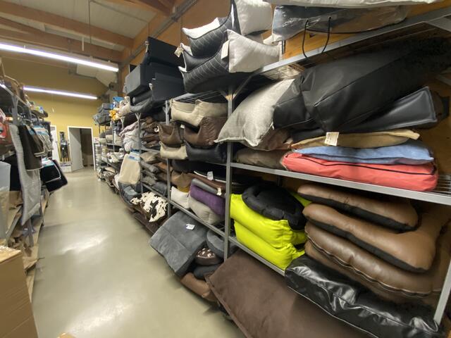 Hundedecken und Körbchen in den unterschiedlichsten Größen und Farben warten auf neue Besitzer | Foto: Claudia Bardon