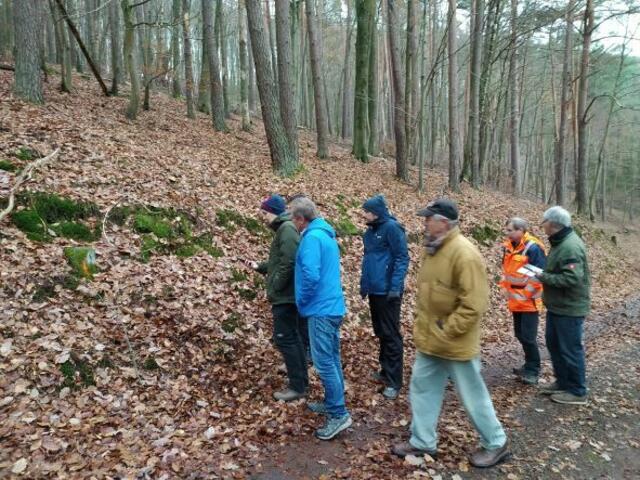 Kleingruppe beim lösen der Suchaufgabe | Foto: Waldbauverein Trifels e.V.