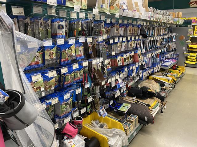 Weiteres Hundezubehör | Foto: Claudia Bardon