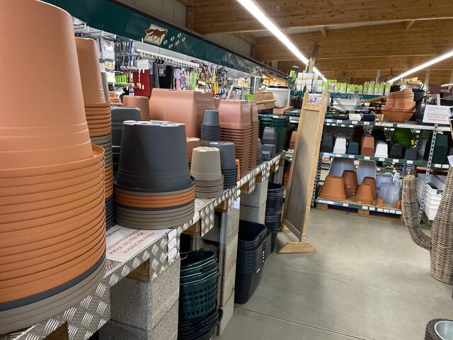 Foto: Claudia Bardon