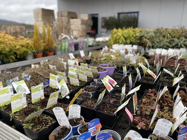 Foto: Claudia Bardon