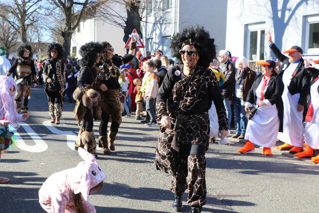 Fasching 2023 in Jockgrim | Foto: Heike Schwitalla