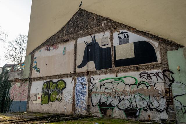 Häuserlücke mit Elefant | Foto: Jessica Bader