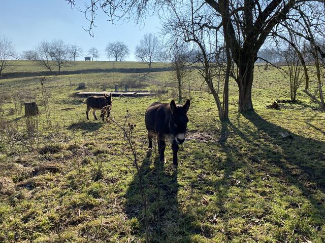 Foto: Claudia Bardon