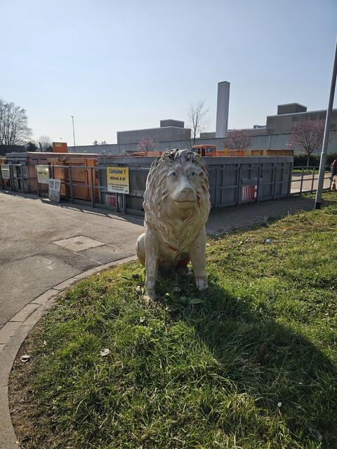 Die Container sind mit großen Schildern gekennzeichnet. So sieht man, wo der Müll entsorgt werden muss. Foto: Gisela Böhmer