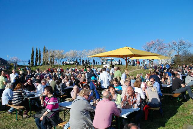  Mandelblütenfest | Foto: Harald Schönig