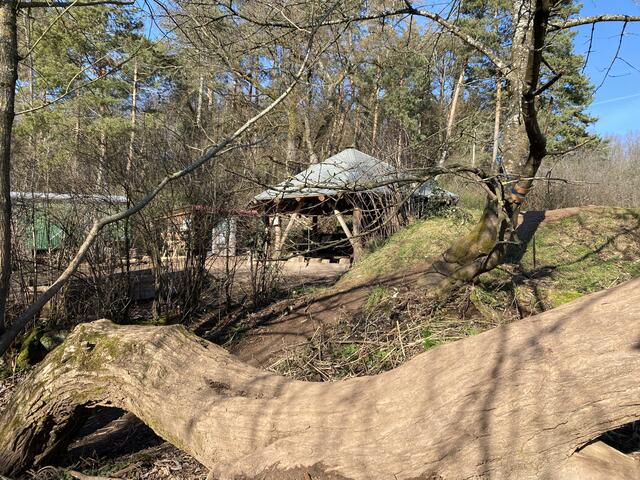 Foto: Claudia Bardon