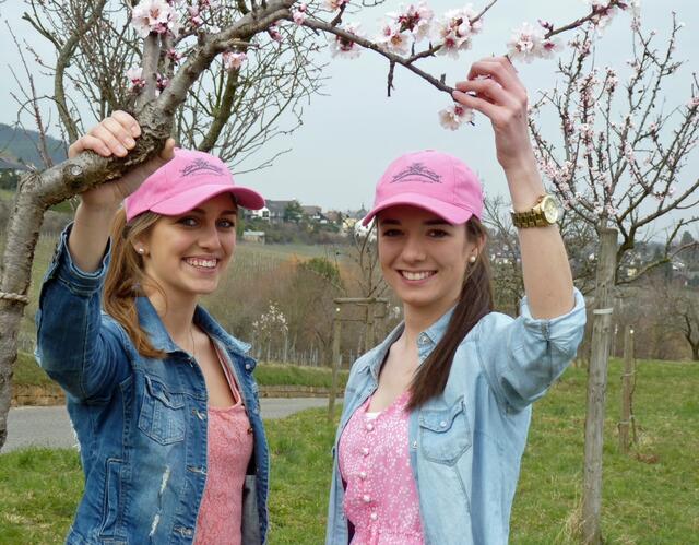  Mandelblütenfest | Foto: Harald Schönig