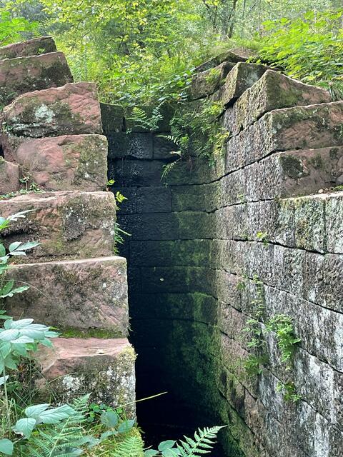 Am Rhein wurde getreidelt und im Pfälzer Wald getriftet. Auf den Spuren eines seit dem Mittelalter bis ins 19. Jahrhundert reichenden Wirtschaftszweigs, der sogenannten Holztrift, begeben sich Wanderer im Legelbachtal bei Elmstein. | Foto: Markus Pacher