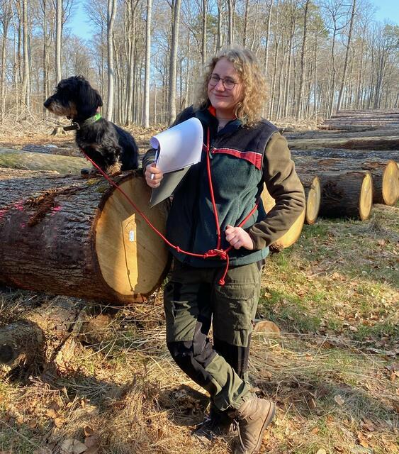 Gemeinsam im Gebiet des Forstamts Haardt unterwegs: Dackel Amsel und Jolanda bei der Arbeit im Wald | Foto: privat
