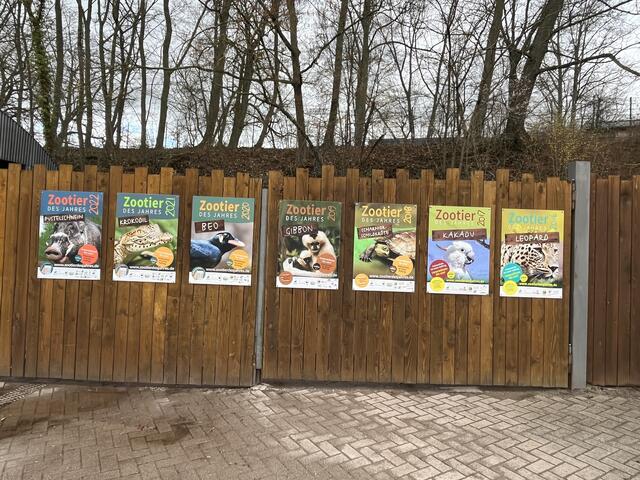 Die vergangenen Zootiere des Jahres: Seit 2016 gibt es das Zootier des Jahres | Foto: Katharina Schmitt