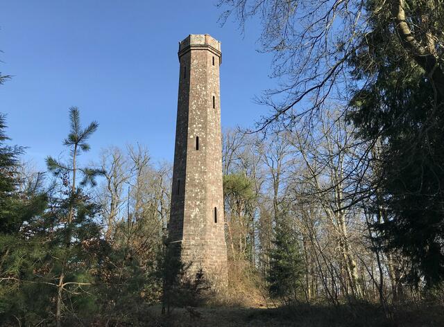 Der Eschkopfturm auf einem der höchsten Berge im Pfälzer Wald | Foto: B. Bender