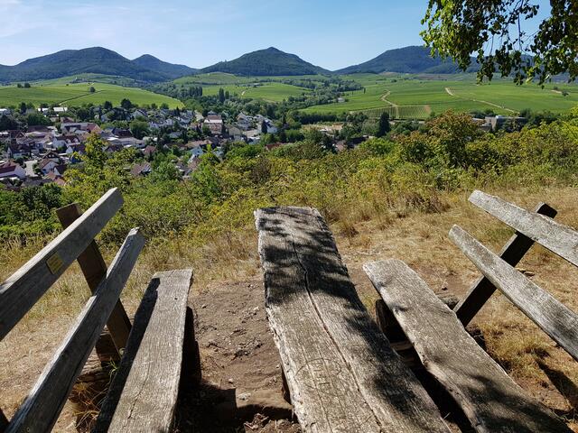 Auf der kleinen Kalmit bei Ilbesheim