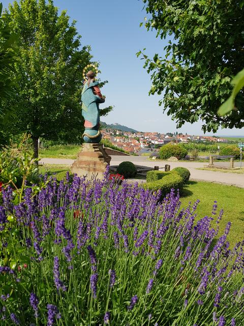Frühlingsduft liegt in der Luft - St. Martiner Madonnenblick mit dem Hambacher Schloss im Hintergrund