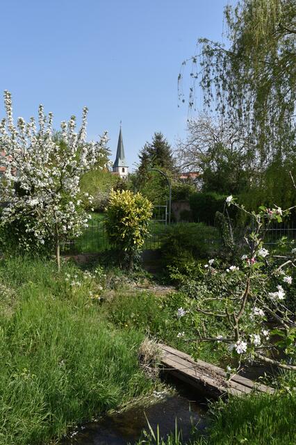 Naturidylle bei Altdorf