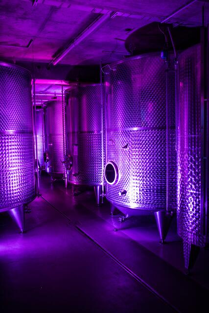 Einfach imposant: Der Blick in die Keller der St. Martiner Weingüter lohnt sich. | Foto: Tourist Information St. Martin