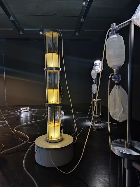 Die Ausstellung »Renaissance 3.0« errichtet ein Basislager für neue Allianzen von Kunst und Wissenschaft im 21. Jahrhundert. | Foto: Heike Schwitalla