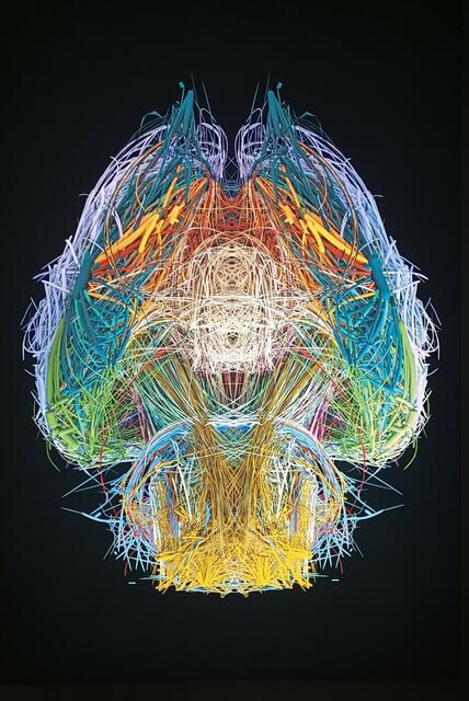 Die Ausstellung »Renaissance 3.0« errichtet ein Basislager für neue Allianzen von Kunst und Wissenschaft im 21. Jahrhundert. | Foto: Heike Schwitalla