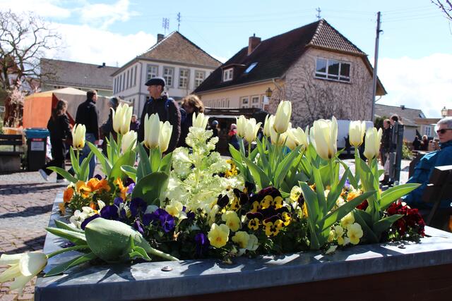 Nicht nur die Mandelbäume blühen auf dem Gimmeldinger Dorfplatz | Foto: Markus Pacher