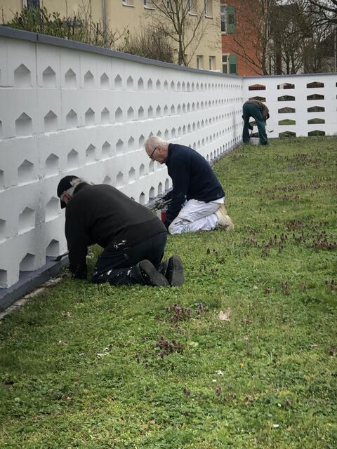 Neugestaltung der Friedhofsmauer in Sondernheim | Foto: Ortsbeirat Sondernheim