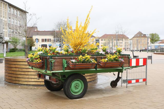 ein sonniger Gruß im Regenwetter | Foto: Heike Schwitalla