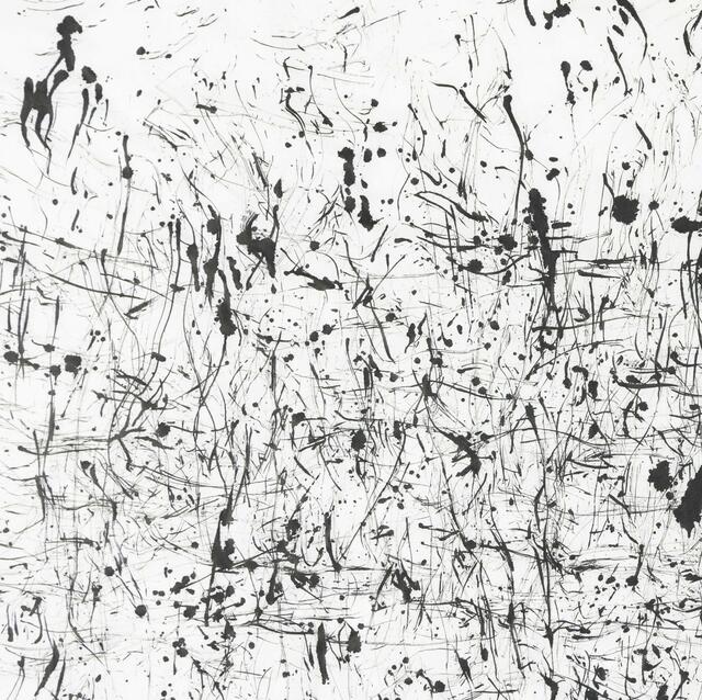 Die Partitur des Windes | Foto: Stölting