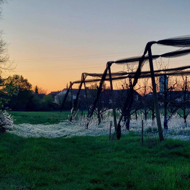 Foto: Brigitte Melder