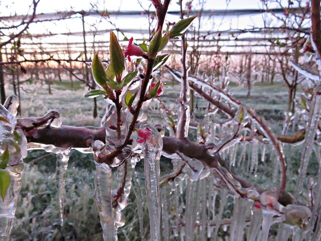 Foto: Brigitte Melder