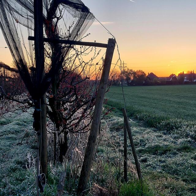 Foto: Brigitte Melder