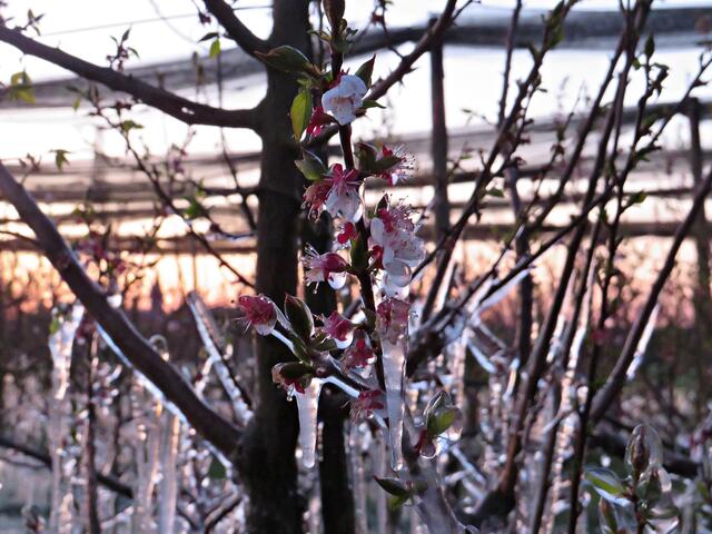 Foto: Brigitte Melder