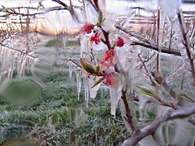 Foto: Brigitte Melder